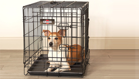 glass panel pool fencing prices