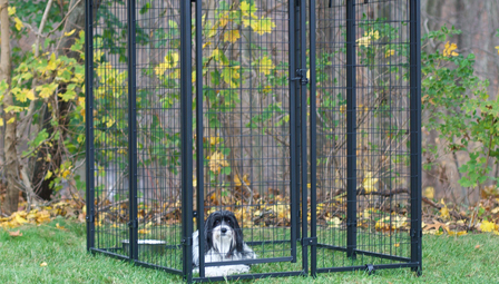 Enhancing Home Safety with Secure Driveway Gates for Residential Properties