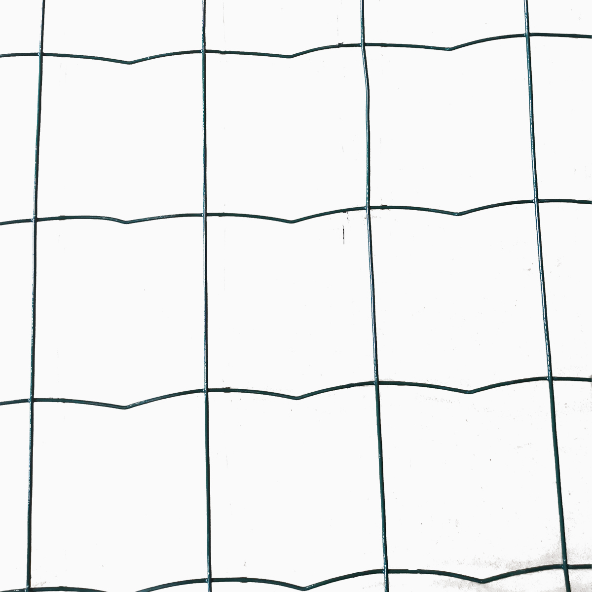 x large wire dog crate