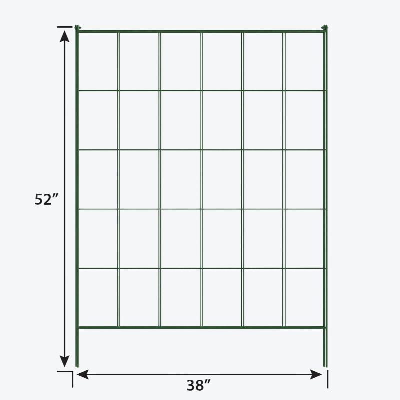 Exploring the Unique Characteristics and Benefits of 16d common in Modern Applications