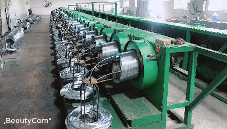 indeterminate tomato cage