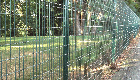 Installing Metal Edging to Enhance Your Landscaping Design and Garden Borders