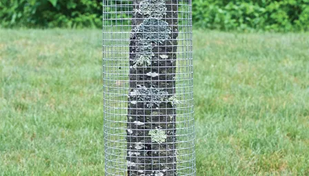 Affordable Steel Posts Options for Your Construction Needs