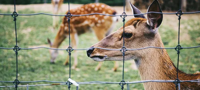 grand empire panel fence grand empire panel fence