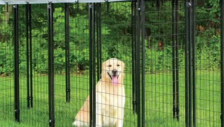 Metal Frame Garden Trellis for Supporting Climbing Plants and Enhancing Outdoor Spaces