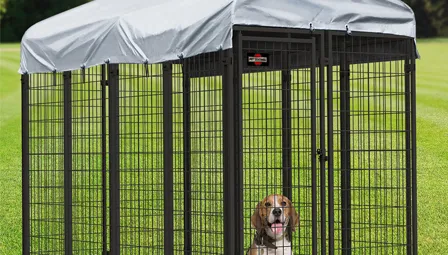 cracked car window screen cracked car window screen