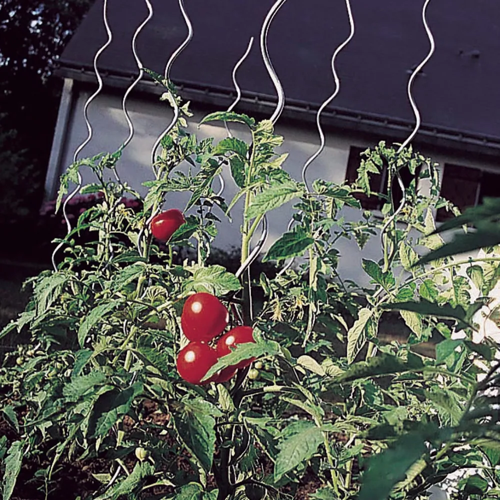 spiral plant stakes