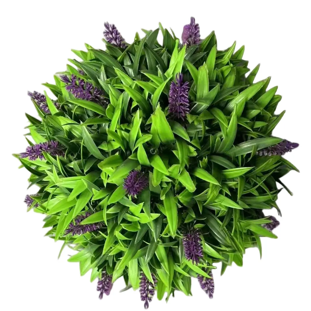 Sweet-Potato-Vine-Topiary-Ball(1)2