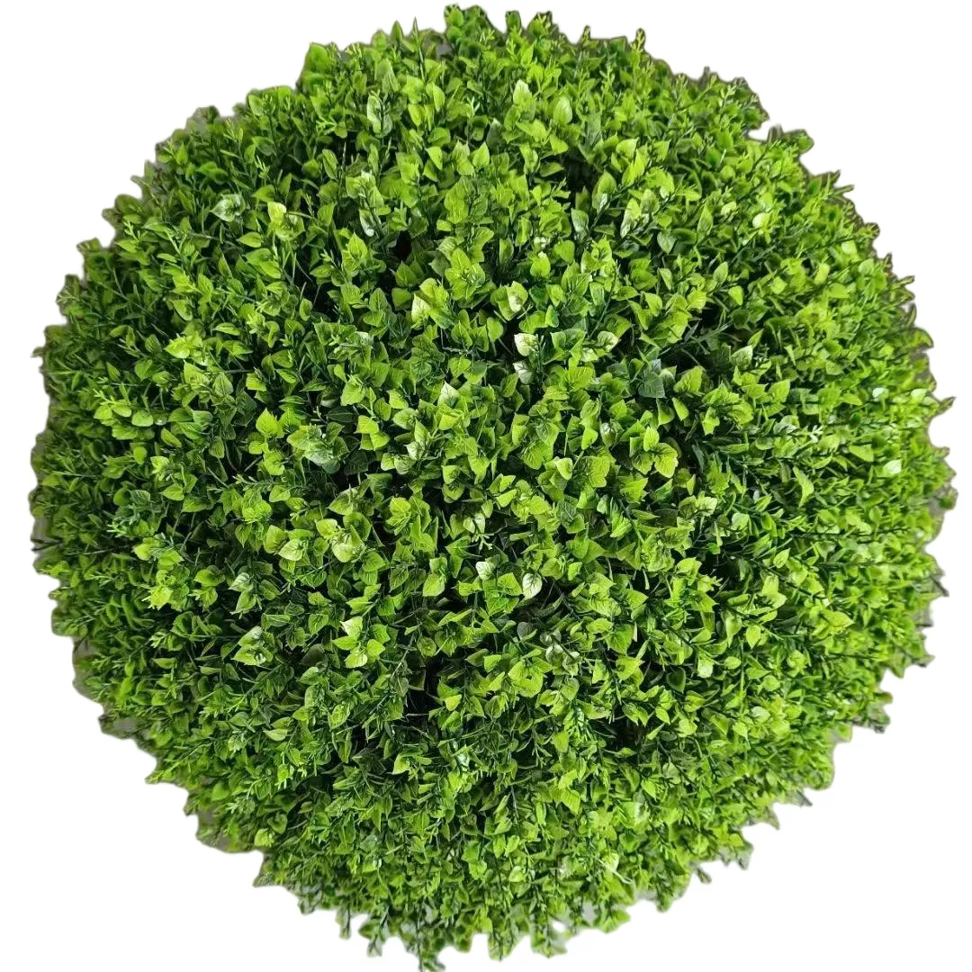 Sweet-Potato-Vine-Topiary-Ball(1)6