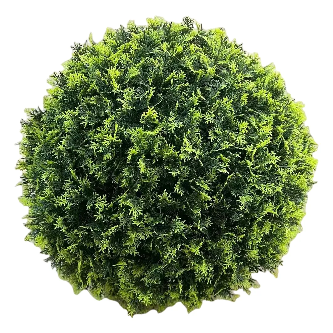 Sweet-Potato-Vine-Topiary-Ball(1)5