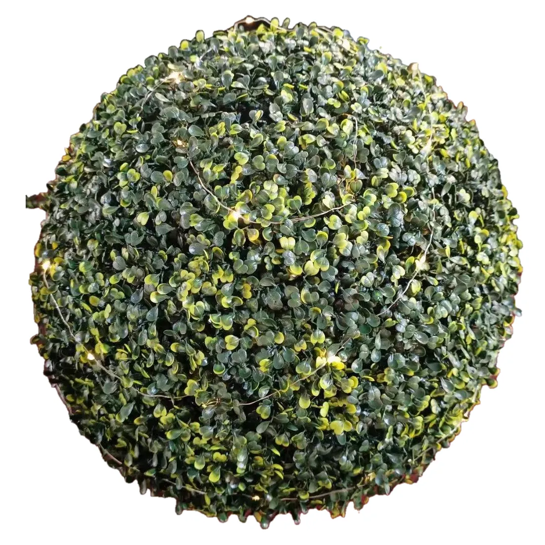 Sweet-Potato-Vine-Topiary-Ball(1)4