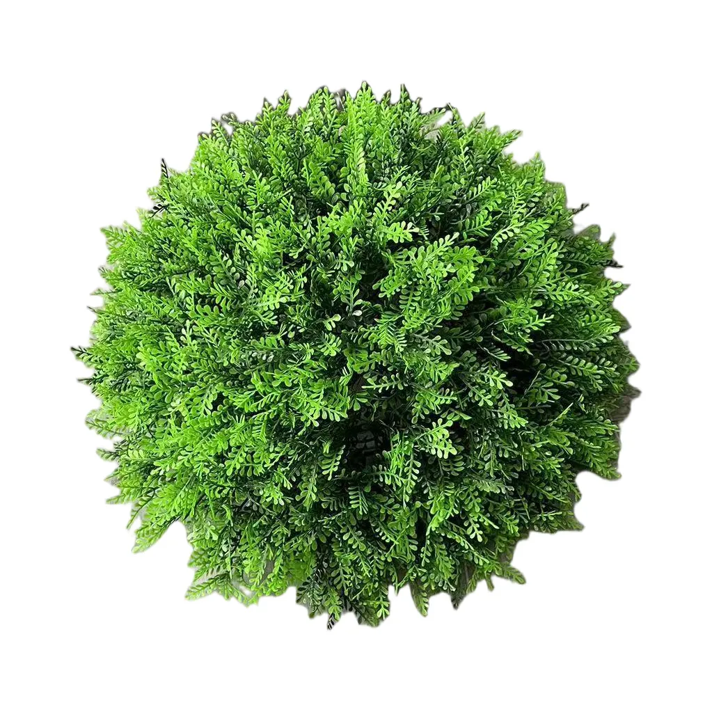 Sweet-Potato-Vine-Topiary-Ball(1)3