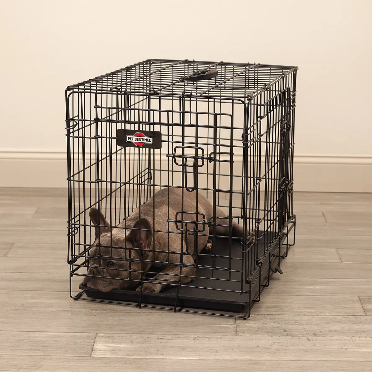 What Size Wire Dog Crate Does Your Dog Need in 2025