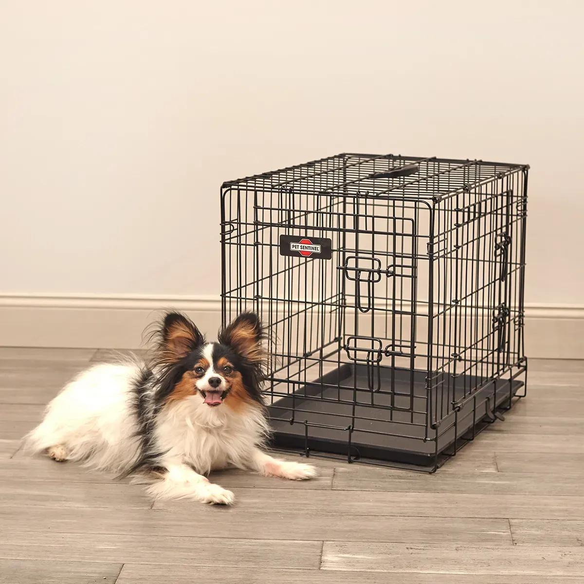Puppy Obedience Training: How to Properly Train Your New Puppy with a Wire Puppy Crate