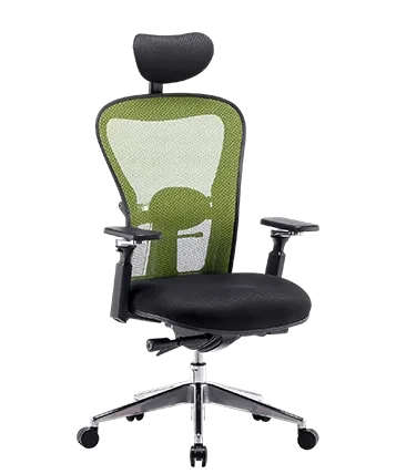 Ergonomic Office Chair