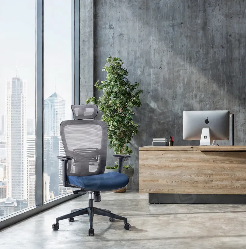 The Ultimate Guide to Training Chairs