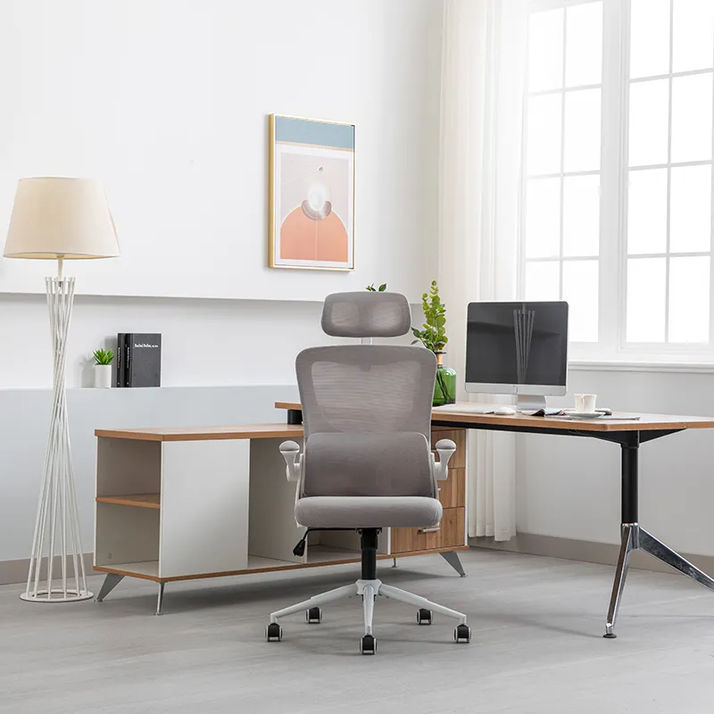 Exporters of Office Chairs for Meeting Rooms and Workspaces Exporters of Office Chairs for Meeting Rooms and Workspaces
