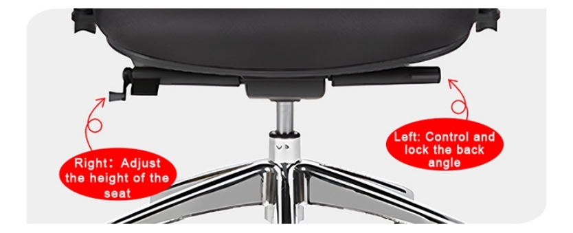 chairs visitors service