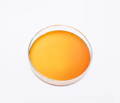 Basement Waterproofing: Polyaspartic Acid Mold Defense