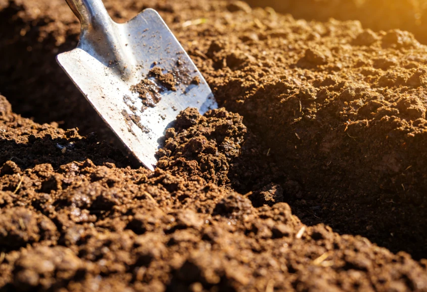 Polyaspartic Acid: Transforming Soil for Sustainable Agriculture