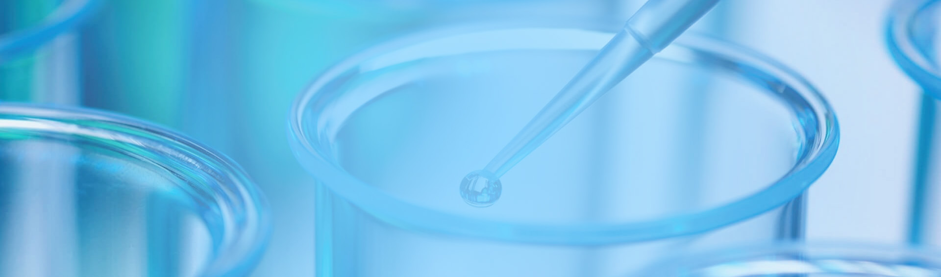 Micronutrient Fertilizer Production for Optimal Plant Growth and Health