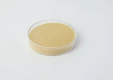 A Wholesaler’s Guide to Sourcing High-Quality Retarders: Key Considerations for Gesso, Plaster, and Protein Applications