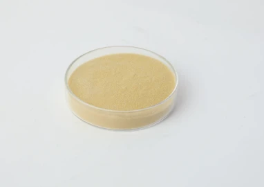 A Wholesaler’s Guide to Sourcing High-Quality Retarders: Key Considerations for Gesso, Plaster, and Protein Applications