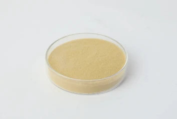 Gesso Retarder： The Art of Controlling Drying