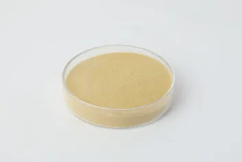 Gesso Retarder： The Art of Controlling Drying