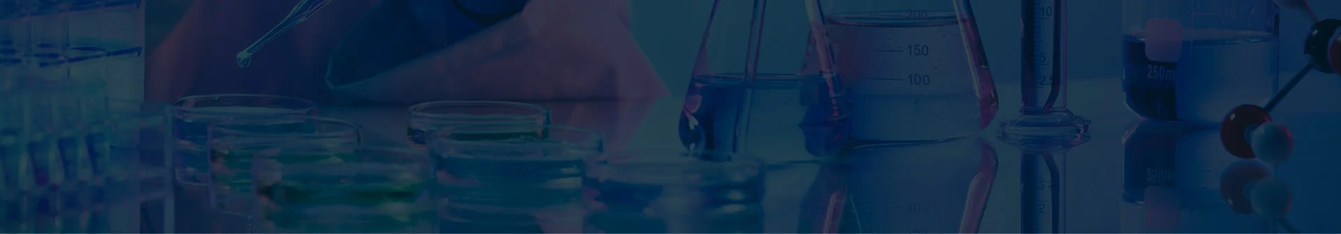 Effective Micronutrient Fertilizers for Enhanced Crop Quality and Soil Health