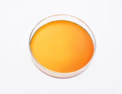 Polyaspartic Acid Sigma: The Fast and Efficient Solution for Garage Floors