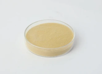 Amino Acid Polymers: The Building Blocks of Life and Innovation