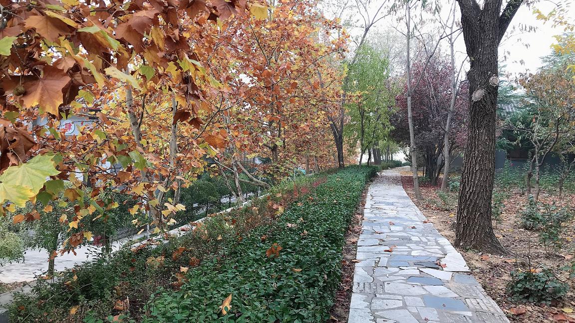 Our company holds the 