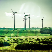 Tetranatrium Iminodisuccinat Riff Hersteller