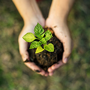 general liquid micronutrient fertilizer supplier