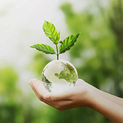 What Tetrasodium Iminodisuccinate Is