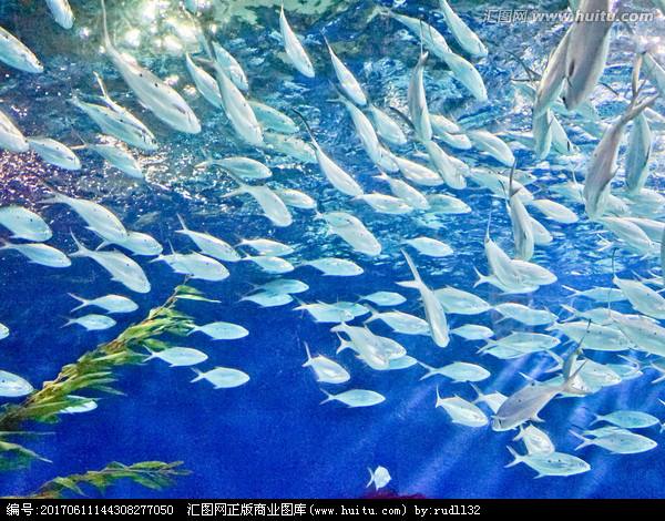 Synthesis Methods for OEM Polyglutamic Acid in Modern Biotechnology