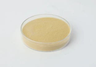 Diabetic Wound Care: Amino Acid Polymer Hydrogels