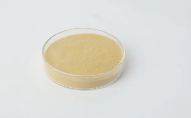 Vegan Collagen Boosters: Amino Acid Peptide Alternatives for Radiant Skin