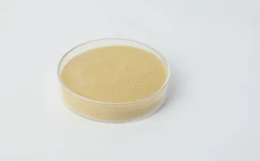 Vegan Collagen Boosters: Amino Acid Peptide Alternatives for Radiant Skin