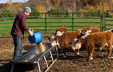 Exploring the Role of Calcium EDTA in Metal Chelation Therapy and Its Applications