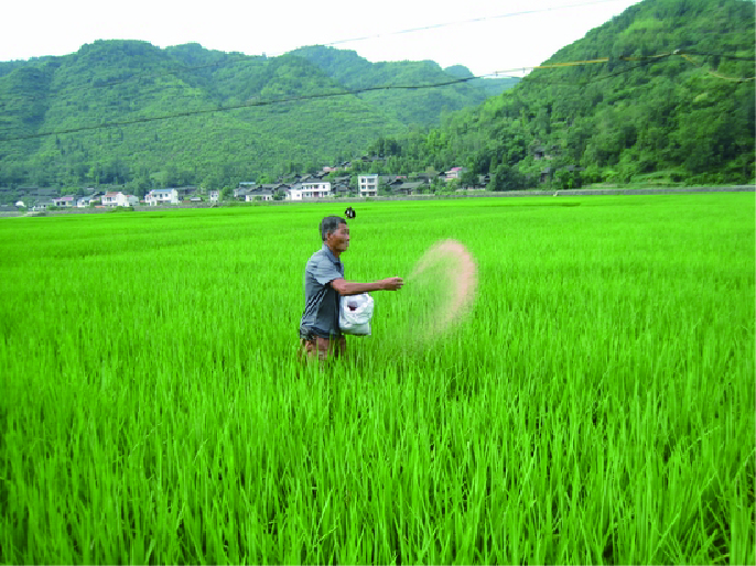 Quality Chelated Micronutrients Supplier for Enhanced Plant Nutrition Solutions by BASF