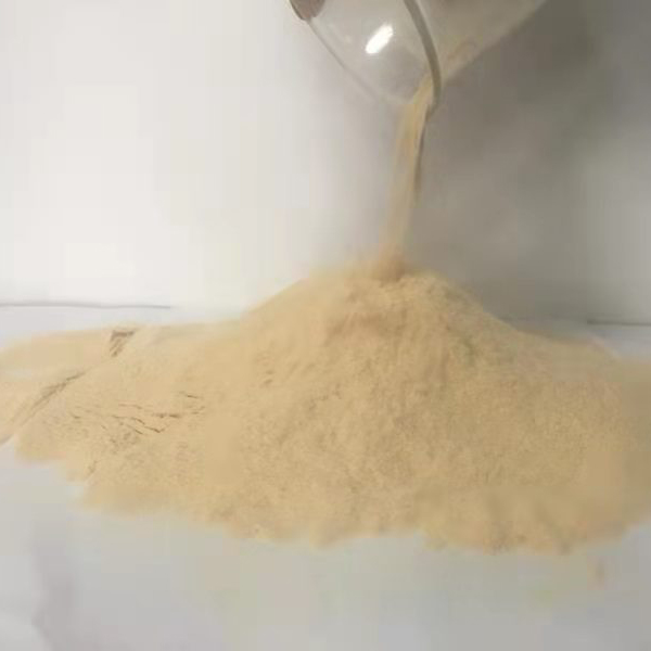 Essential Micronutrients for Plant Growth and Health from Top Manufacturers Essential Micronutrients for Plant Growth and Health from Top Manufacturers