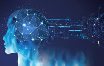 custom humic acid granular