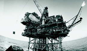 humic and fulvic acid supplement manufacturer humic and fulvic acid supplement manufacturer