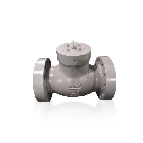 H44H-100/160/250 C/P/R High Pressure Check Valve