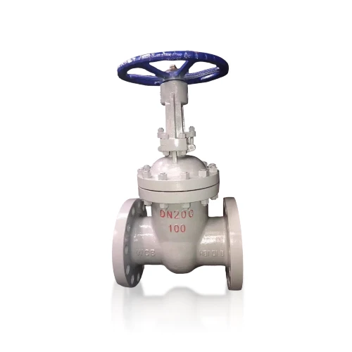 Z41H-100/160C/P High pressure flange gate valve
