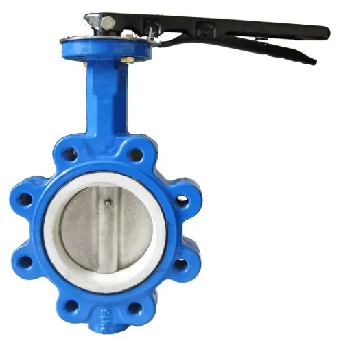 What Is Lug Type Butterfly Valve