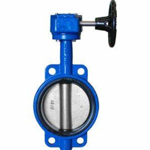 D371X-10 Wafer centerline butterfly valve with turbine