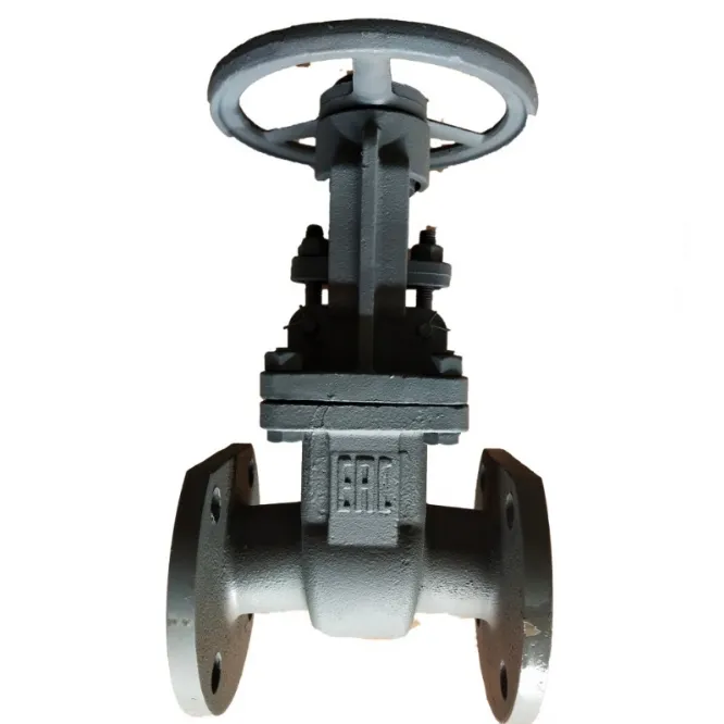 Exploring The Versatility Of Manual Gate Valves